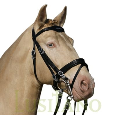 Combined Portuguese-English bridle BD Combined Portuguese-English bridle BD