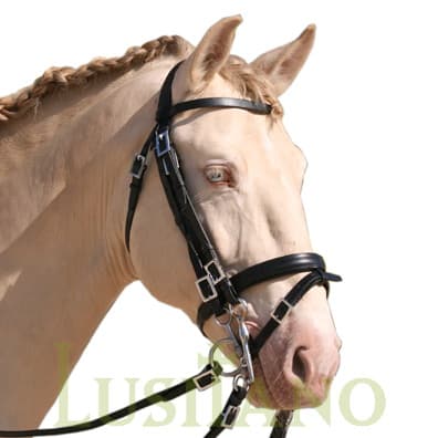 English Portuguese bridle D English Portuguese bridle D