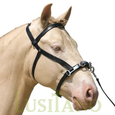 Lunging cavesson Lunging cavesson