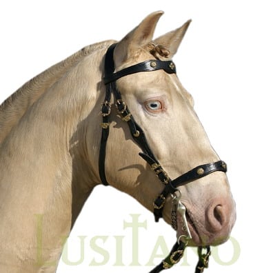 Portuguese baroque bridle Portuguese baroque bridle