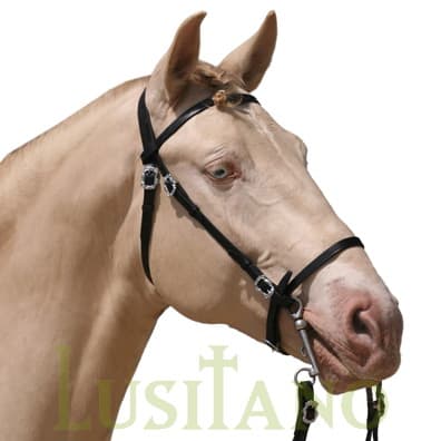 Portuguese bridle B Portuguese bridle B