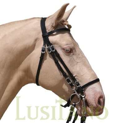 Portuguese bridle BD Portuguese bridle BD