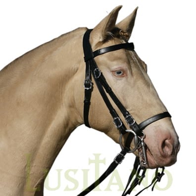Portuguese bridle BDW Portuguese bridle BDW