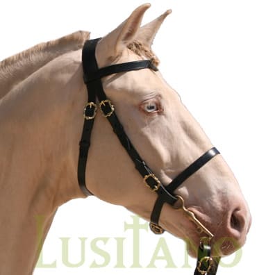 Portuguese bridle BW Portuguese bridle BW