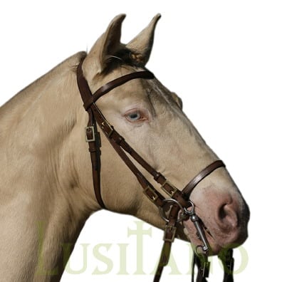 Portuguese bridle D Portuguese bridle D