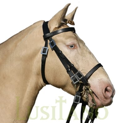 Portuguese bridle DW Portuguese bridle DW