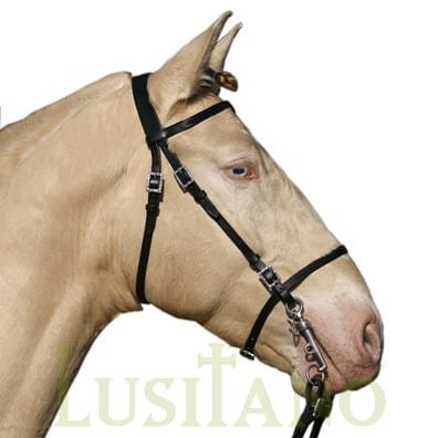 Portuguese bridle RB Portuguese bridle RB