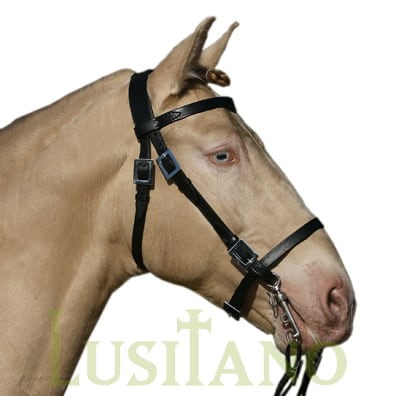 Portuguese bridle W Portuguese bridle W