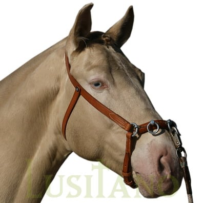 Portuguese lunging cavesson Portuguese lunging cavesson