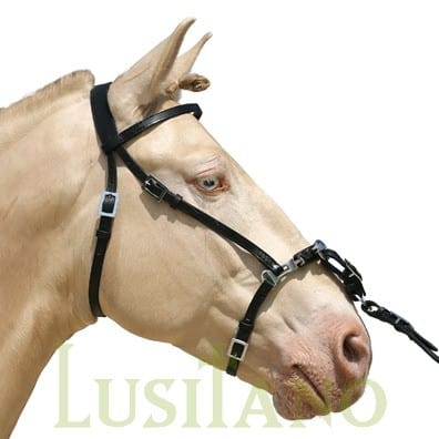 Portuguese show cavesson 2 rings Portuguese show cavesson 2 rings