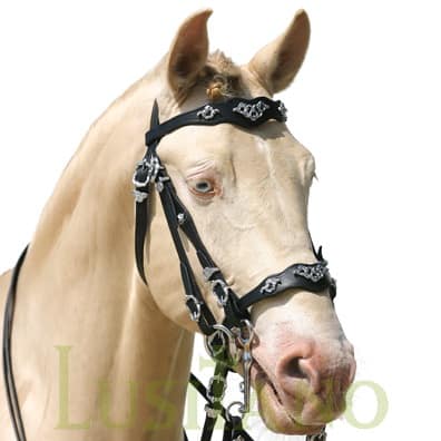Traditional Baroque bridle D Traditional Baroque bridle D