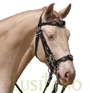Traditional Baroque bridle WHS-D Traditional Baroque bridle WHS-D