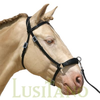 Leather noseband cavesson Leather noseband cavesson