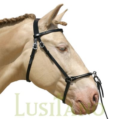 Portuguese show cavesson BT Portuguese show cavesson BT