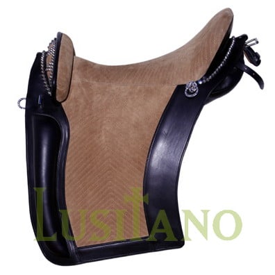 D. Dinis saddle D. Dinis saddle