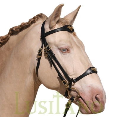 Equestrian bridles Horse bridles